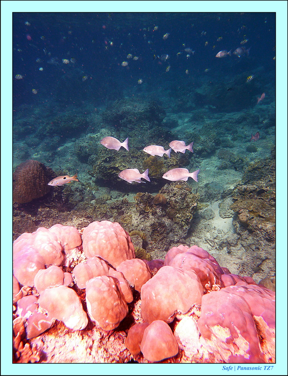 2012 - 07 - Gili - 61